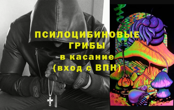 ГАЛЛЮЦИНОГЕННЫЕ ГРИБЫ Белокуриха
