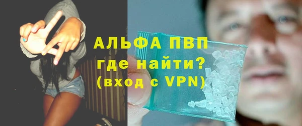 ГАЛЛЮЦИНОГЕННЫЕ ГРИБЫ Белокуриха