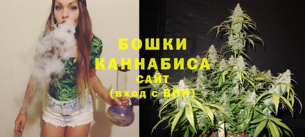 ГАЛЛЮЦИНОГЕННЫЕ ГРИБЫ Белокуриха